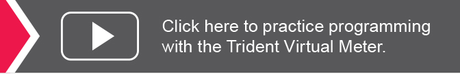 Click here to practice programming with the Trident Virtual Meter.