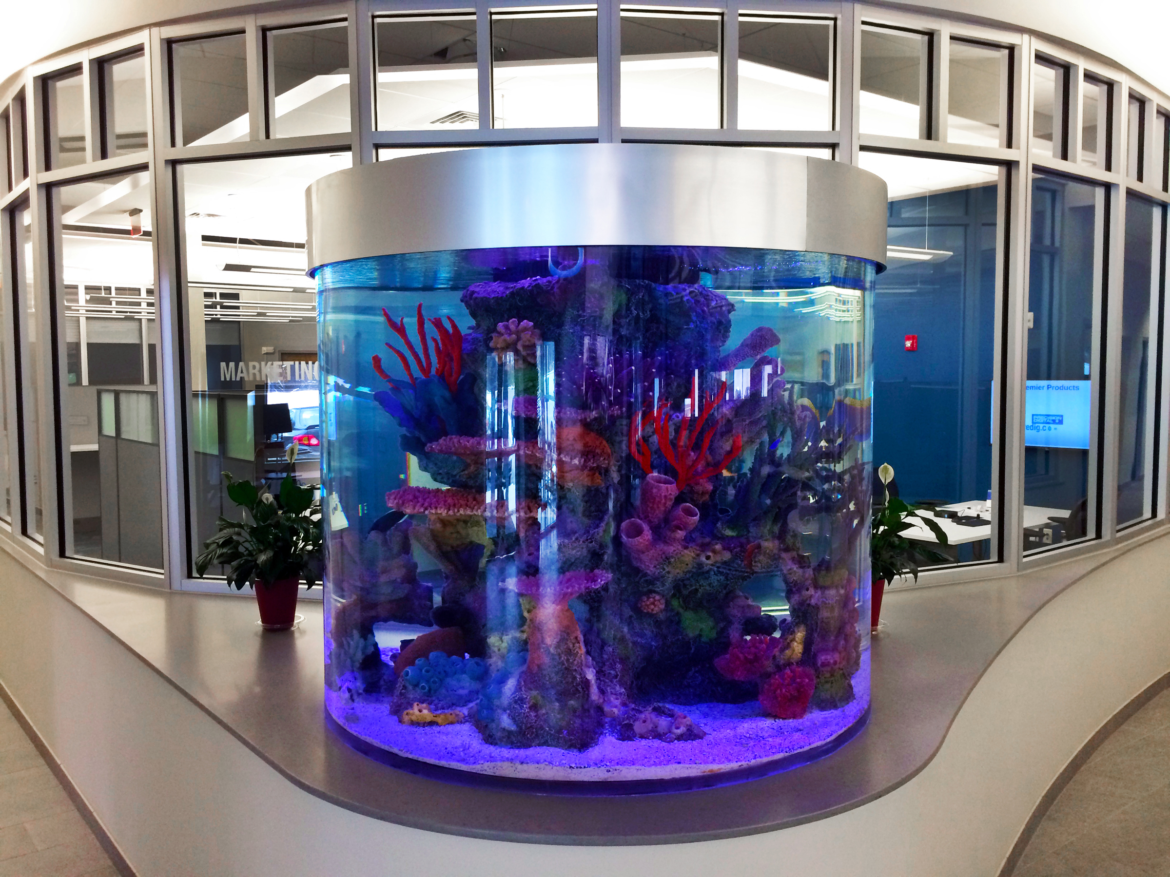 Precision Digital Corporate Office