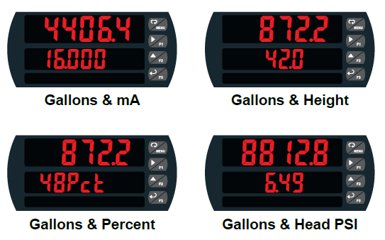 Dual-Scale Display Feature